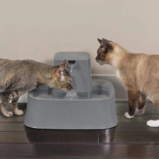 Find the PetSafe Pet Fountain 7.5 l at GP's Pet Palace, your pet store in Portage la Prairie. Adjustable flow, easy-to-clean, and 7.5 l capacity ensures your pet stays hydrated and healthy!