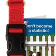 Petsafe KeepSafe Break-Away Collar, Prevent Collar Accidents for your Dog or Puppy, Improve Safety, Compatible with Lead Use,  small 10 -14”