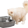 PetSafe Multi-Tier Pet Fountain 100 oz Water Capacity | GP’s Pet Palace, Portage la Prairie