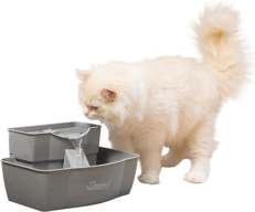 Discover the PetSafe Multi-Tier Pet Fountain at GP's Pet Palace, your pet store in Portage la Prairie. Adjustable flow, easy-to-clean, and 100 oz capacity ensures your pet stays hydrated and healthy!