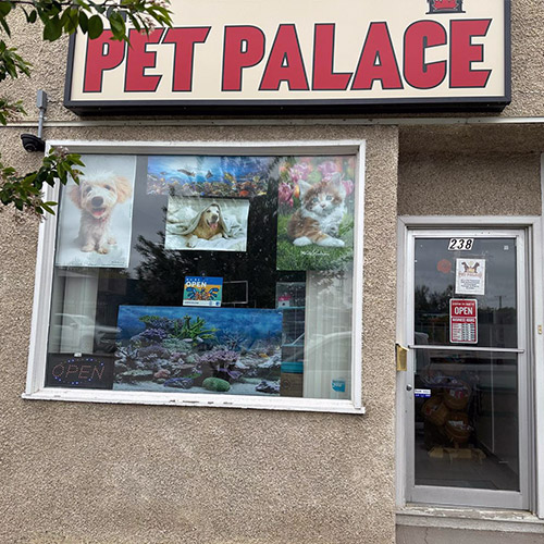 GPS Pet Shop