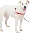 PetSafe  Deluxe Easy Walk Harness, size – medium, Rose