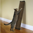 Omega Paw Lean-It Everywhere Scratch Post, 25-Inch | GP’s Pet Palace, Portage la Prairie