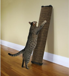 Get the Omega Paw Lean-It Everywhere Scratch Post at GP's Pet Palace, your pet store in Portage la Prairie. Versatile, stylish, and suitable for all floor surfaces, it measures 25 inches high!