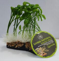 Enhance your terrarium or aquarium with the Komodo Artificial Plant. Made from high-density resin, it's hygienic, easy to clean, and adds a realistic touch to any setup.