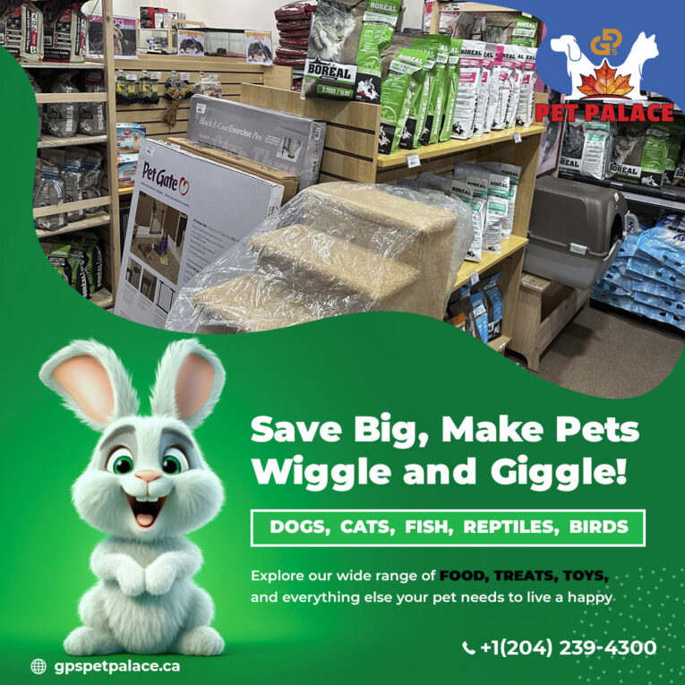 Create a safe, enriching environment for your pet with tips on pet-proofing, mental stimulation, and safety. Explore top products at GPS Pet Palace, Portage la Prairie.